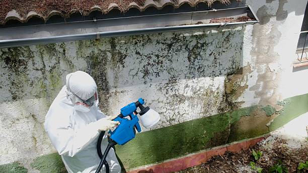 Top rated local Crawl Space Mold Remediation specialists in Patton, PA
